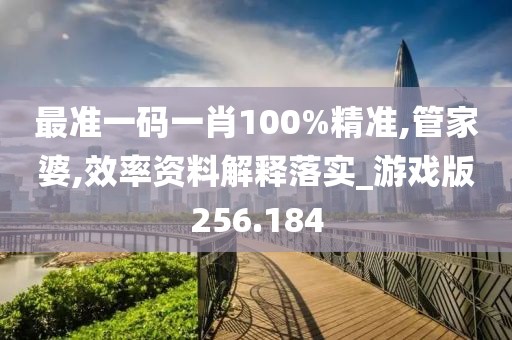 最准一码一肖100%精准,管家婆,效率资料解释落实_游戏版256.184