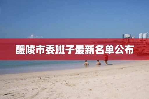醴陵市委班子最新名单公布