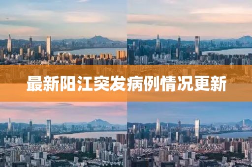 最新阳江突发病例情况更新