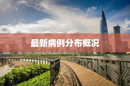 最新病例分布概况