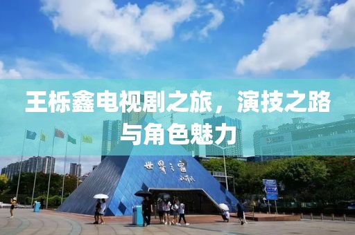 王栎鑫电视剧之旅，演技之路与角色魅力