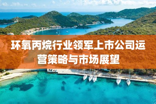 环氧丙烷行业领军上市公司运营策略与市场展望