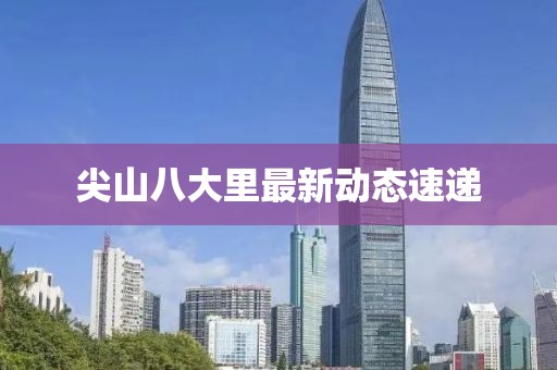 尖山八大里最新动态速递