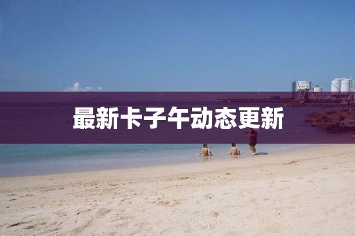 最新卡子午动态更新