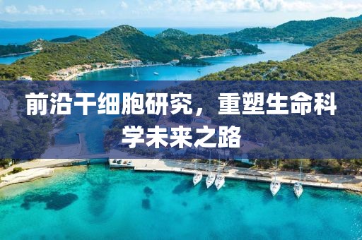 前沿干细胞研究，重塑生命科学未来之路