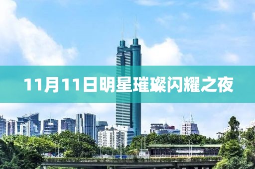 11月11日明星璀璨闪耀之夜
