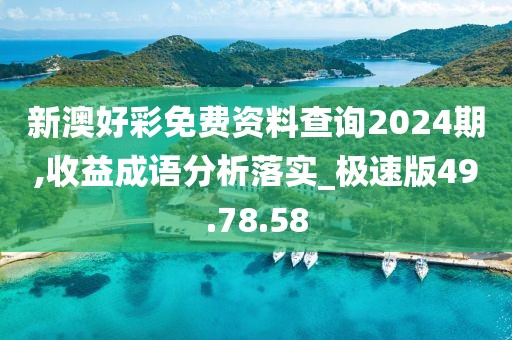 新澳好彩免费资料查询2024期,收益成语分析落实_极速版49.78.58
