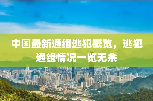 中国最新通缉逃犯概览，逃犯通缉情况一览无余