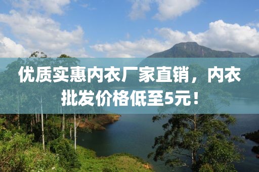 优质实惠内衣厂家直销，内衣批发价格低至5元！