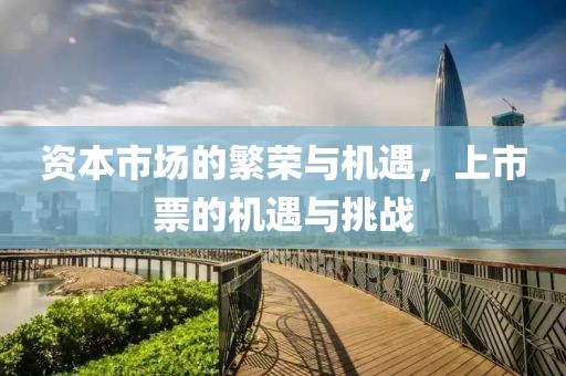 资本市场的繁荣与机遇，上市票的机遇与挑战