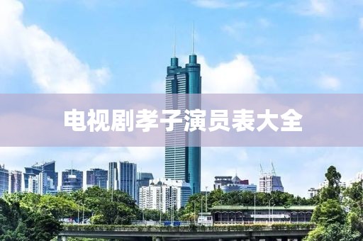 电视剧孝子演员表大全