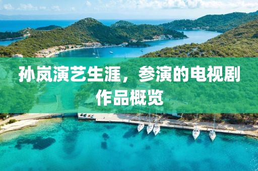 孙岚演艺生涯，参演的电视剧作品概览