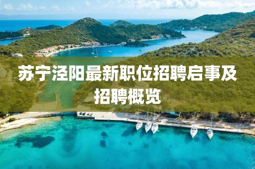 苏宁泾阳最新职位招聘启事及招聘概览