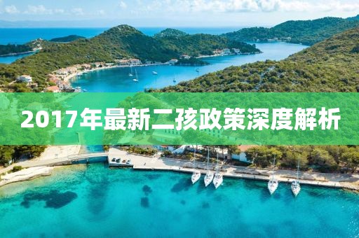 2017年最新二孩政策深度解析
