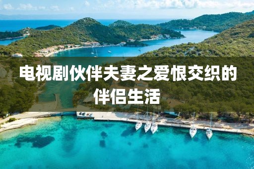 电视剧伙伴夫妻之爱恨交织的伴侣生活