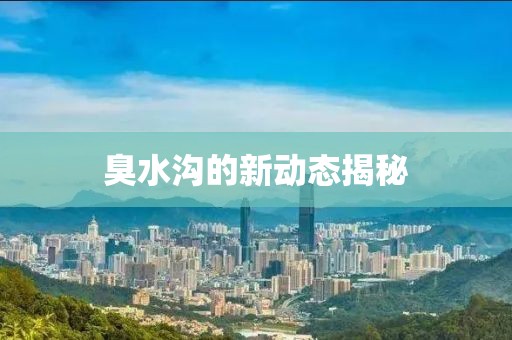 臭水沟的新动态揭秘