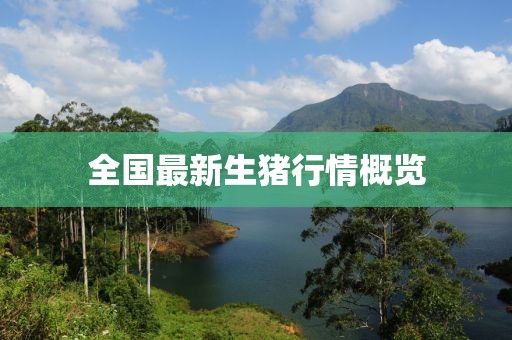 全国最新生猪行情概览