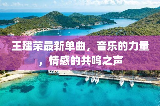 王建荣最新单曲，音乐的力量，情感的共鸣之声
