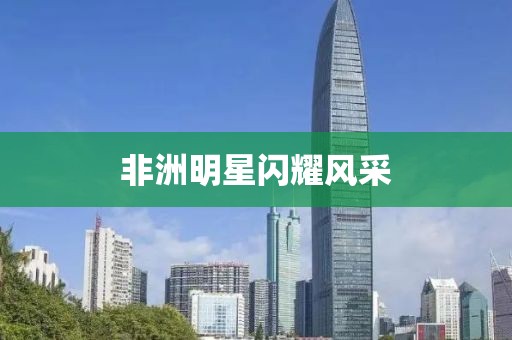 非洲明星闪耀风采