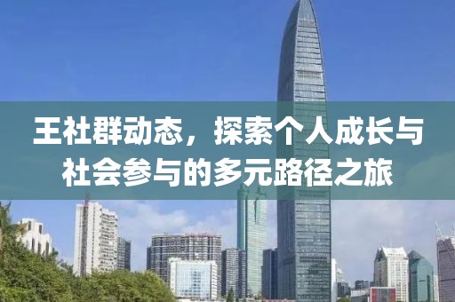 王社群动态，探索个人成长与社会参与的多元路径之旅
