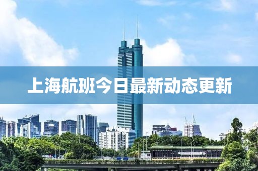 上海航班今日最新动态更新
