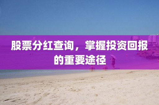 股票分红查询，掌握投资回报的重要途径