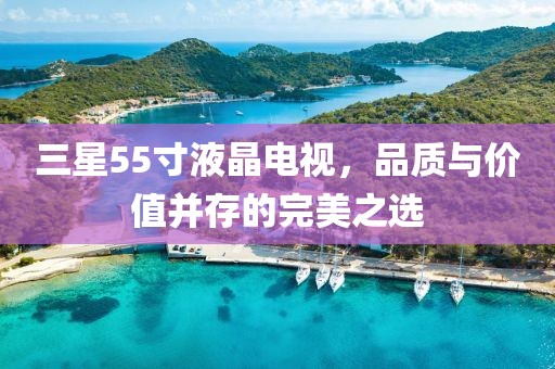 三星55寸液晶电视，品质与价值并存的完美之选