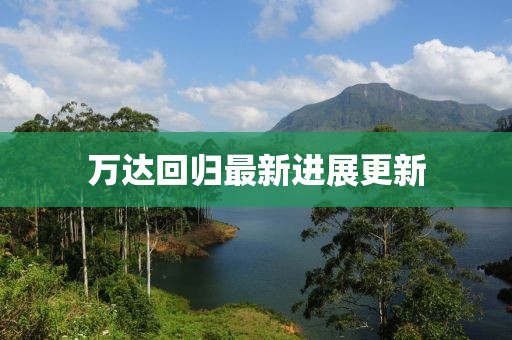 万达回归最新进展更新