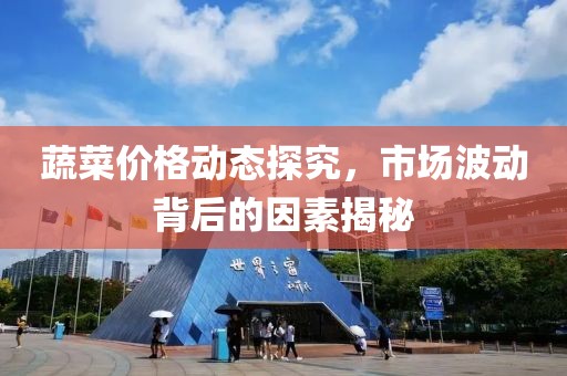 蔬菜价格动态探究，市场波动背后的因素揭秘