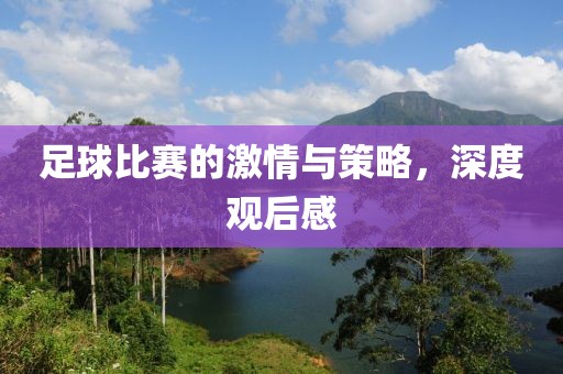 足球比赛的激情与策略，深度观后感