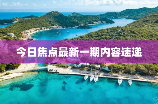 今日焦点最新一期内容速递