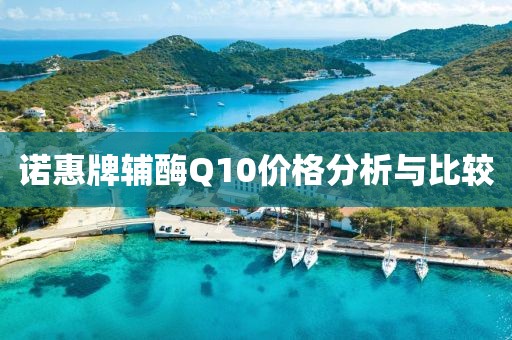 诺惠牌辅酶Q10价格分析与比较