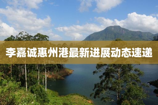 李嘉诚惠州港最新进展动态速递