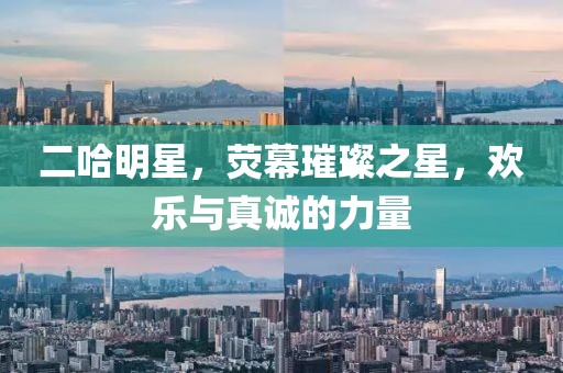 二哈明星，荧幕璀璨之星，欢乐与真诚的力量