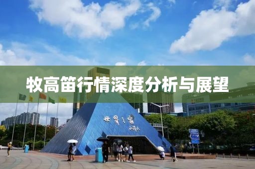 牧高笛行情深度分析与展望