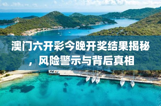 澳门六开彩今晚开奖结果揭秘，风险警示与背后真相