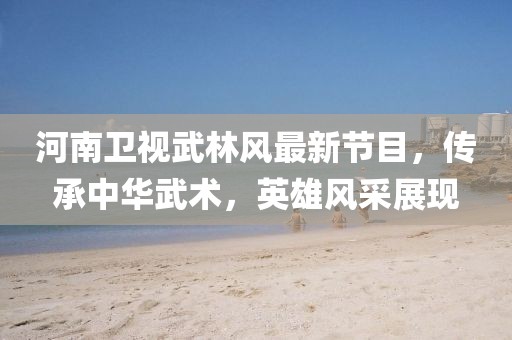 河南卫视武林风最新节目，传承中华武术，英雄风采展现