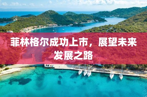 菲林格尔成功上市，展望未来发展之路
