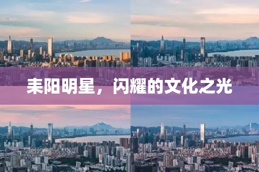 耒阳明星，闪耀的文化之光