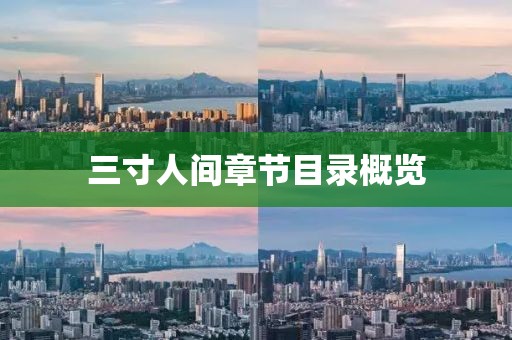 三寸人间章节目录概览