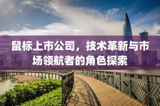 鼠标上市公司，技术革新与市场领航者的角色探索