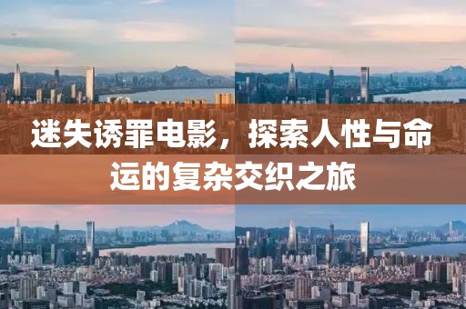 迷失诱罪电影，探索人性与命运的复杂交织之旅