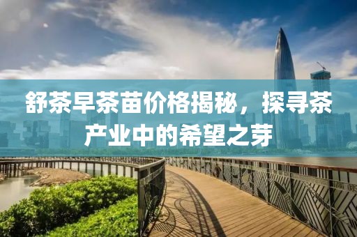 舒茶早茶苗价格揭秘，探寻茶产业中的希望之芽