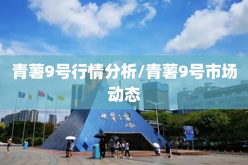 青薯9号行情分析/青薯9号市场动态
