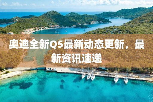 奥迪全新Q5最新动态更新，最新资讯速递
