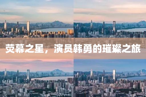 荧幕之星，演员韩勇的璀璨之旅