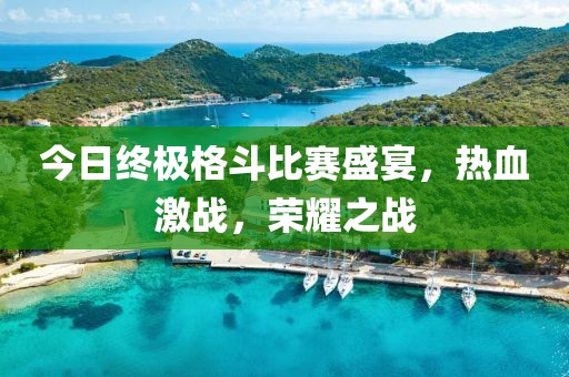 今日终极格斗比赛盛宴，热血激战，荣耀之战