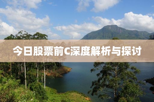 今日股票前C深度解析与探讨