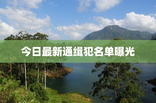 今日最新通缉犯名单曝光