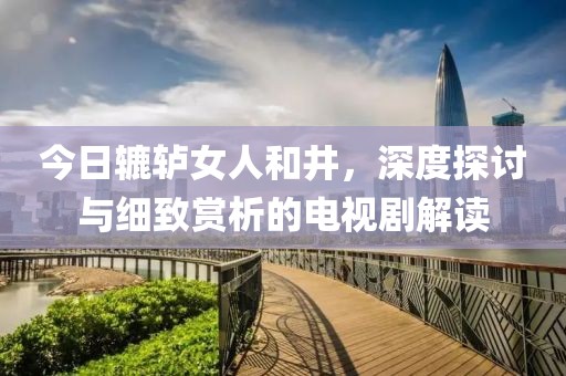 今日辘轳女人和井，深度探讨与细致赏析的电视剧解读